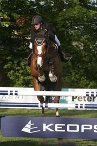 Lucky One efter Lucky Light, solgt i USA